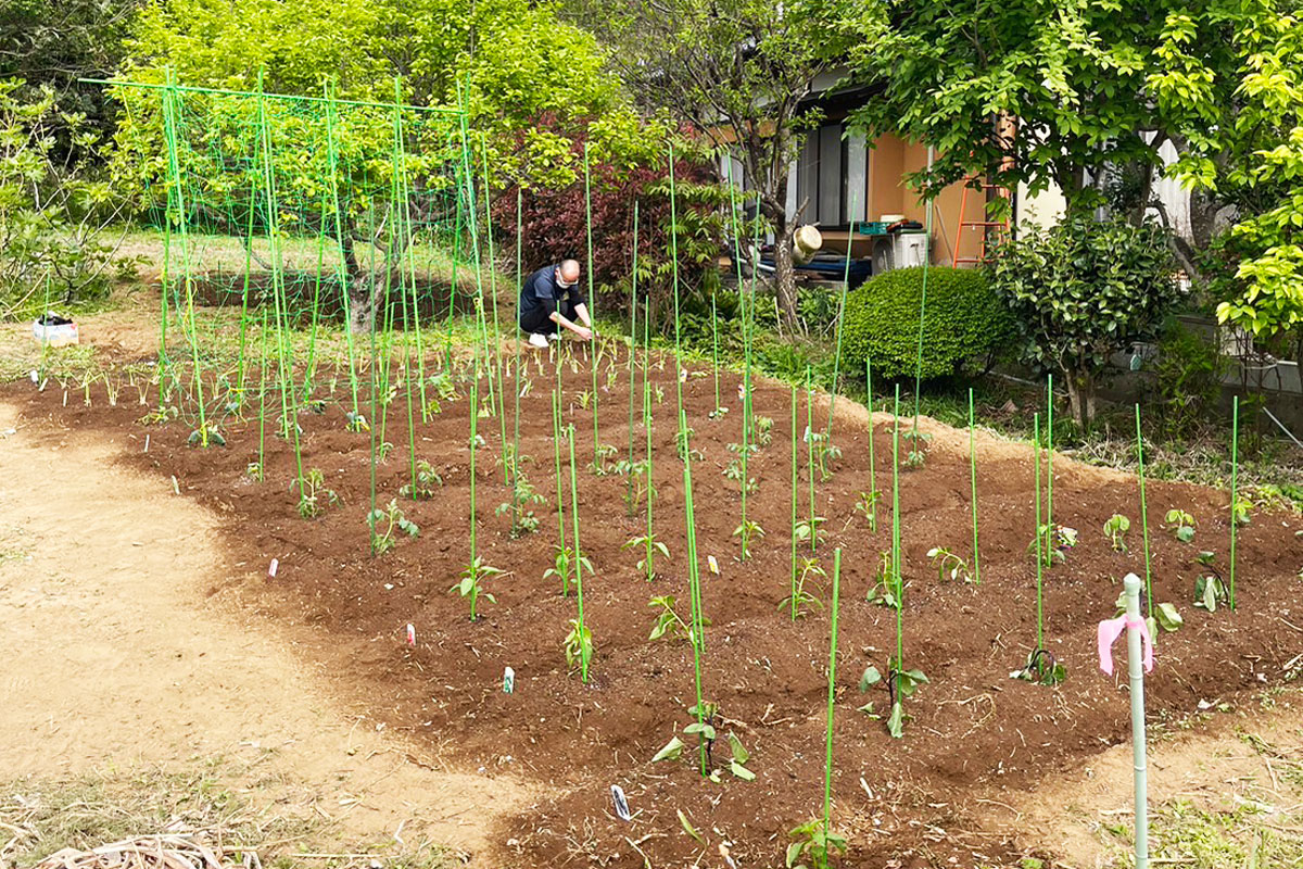 グループホームあさがお　家庭菜園